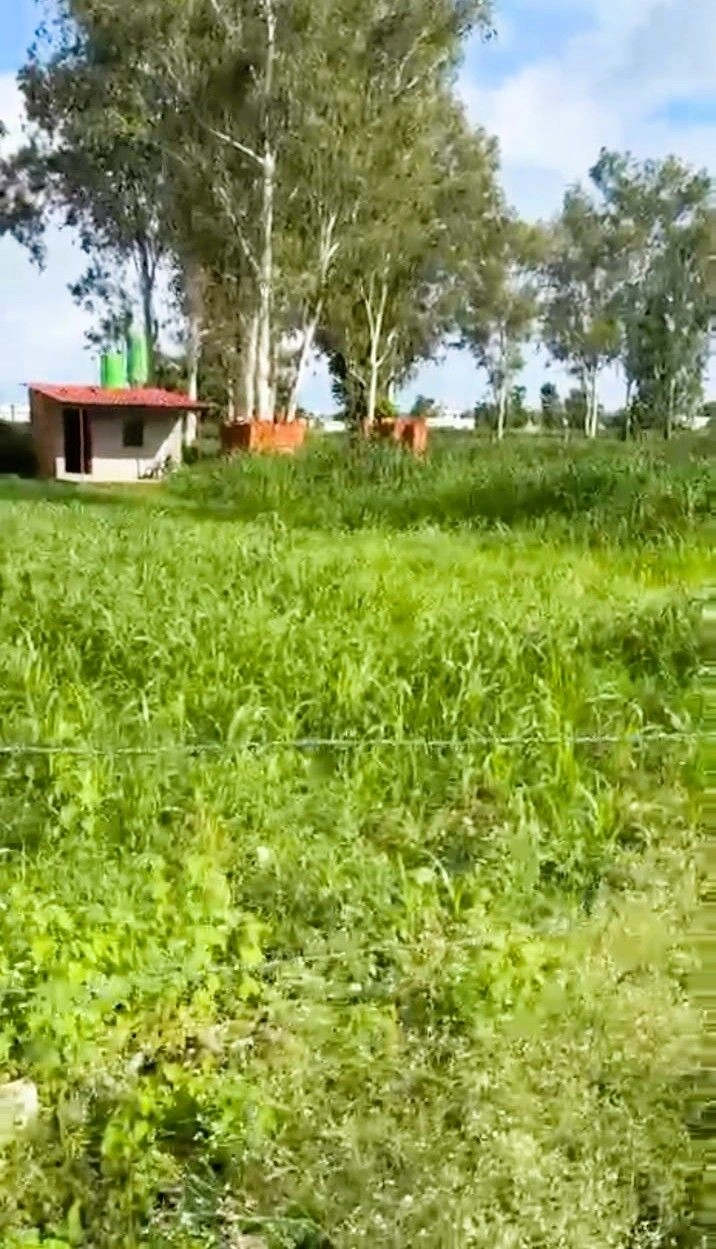 Kalyanpur, Dehradun, Vikasnagar, Uttarakhand 248198, India