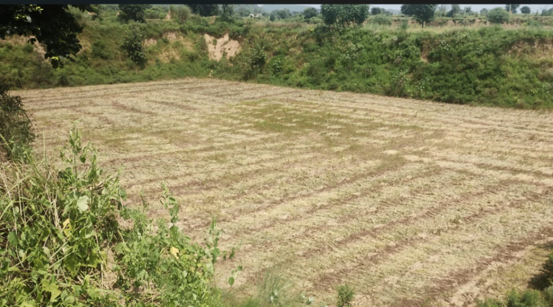 Jhande, Punjab, India