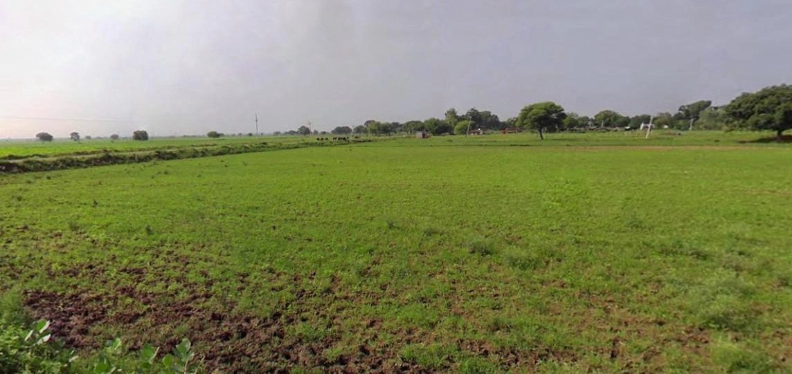 Khachrod, Madhya Pradesh 456224, India