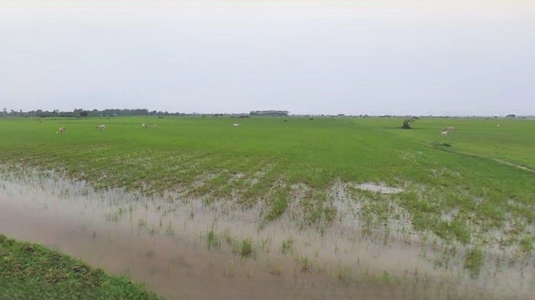 Barnagar, Madhya Pradesh 456771, India