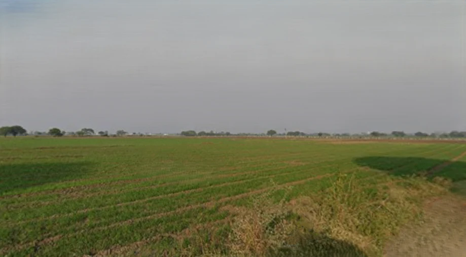 Puwarda Happa, Madhya Pradesh, India