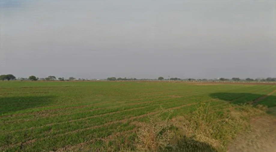 Puwarda Happa, Madhya Pradesh, India