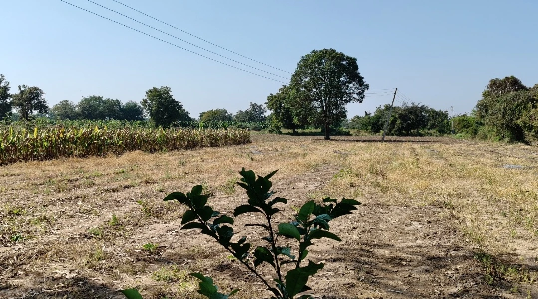 424201, Lohara - Jalgaon Rd, lohara, Maharashtra 424201, India