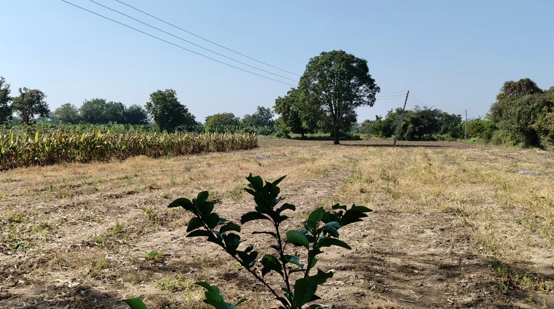424201, Lohara - Jalgaon Rd, lohara, Maharashtra 424201, India