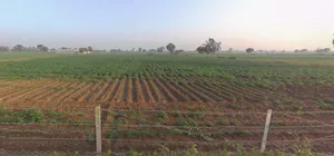 6G4W+5X Kedarpur, Maharashtra, India preview 3