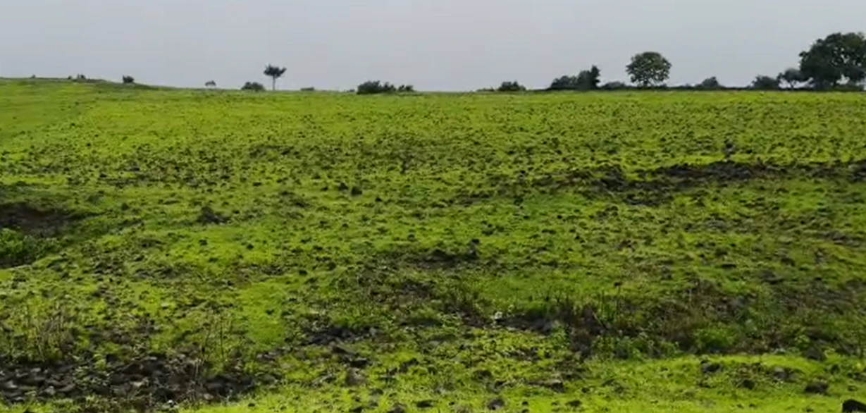 3J97+HF Karsgutti, Sangareddy, Telangana, India