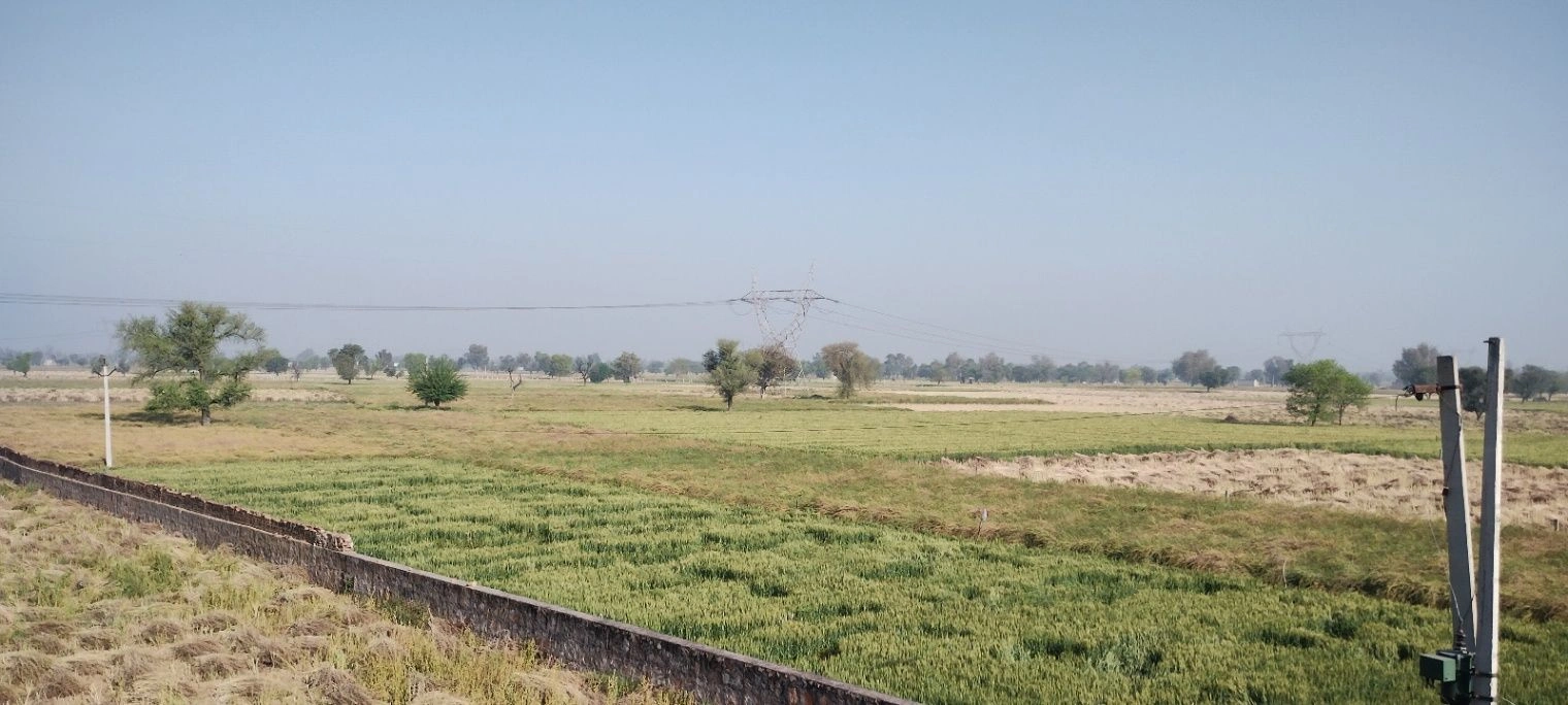 Deenar, Rajasthan 301021, India