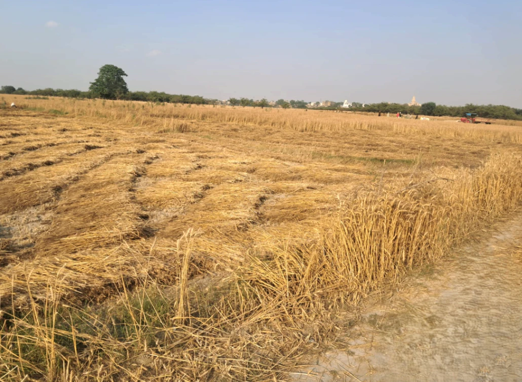 Behram, Punjab 144504, India