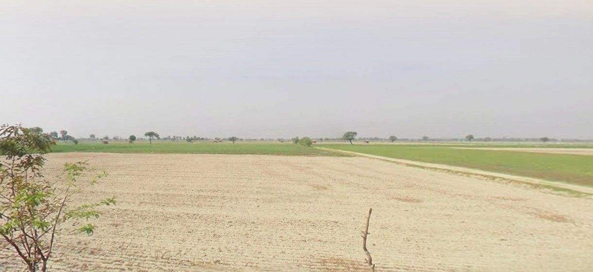 Ramnagar, Uttarakhand 244715, India