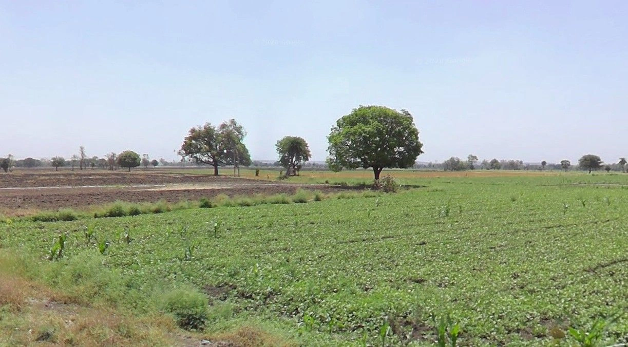 Pirbarkheda, Madhya Pradesh, India