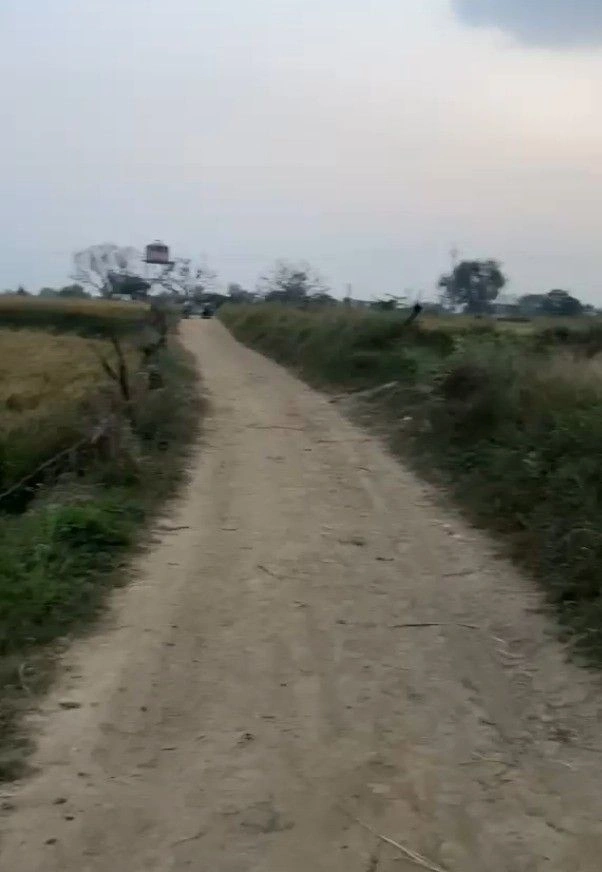 Sahona, Madhya Pradesh 475115, India