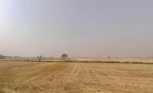 3G78+PCW, Gharvara, Uttar Pradesh 202165, India preview 3