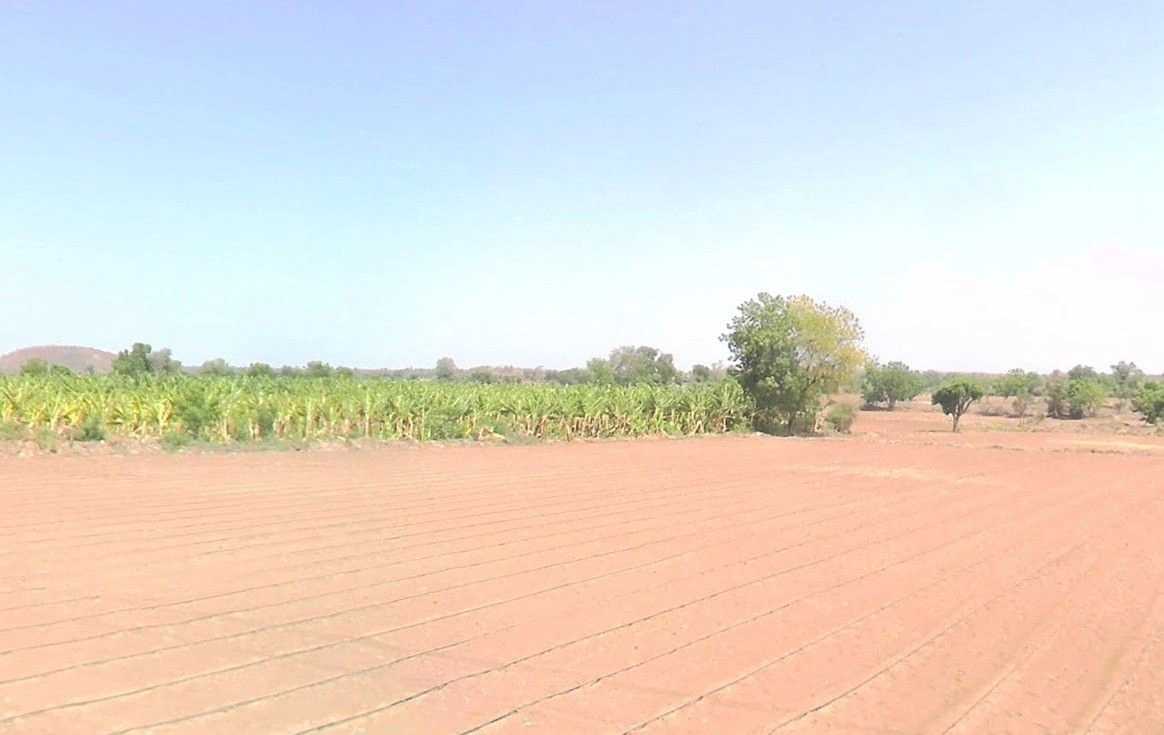 4HW5+VQM, Bijoramafi, Madhya Pradesh, India