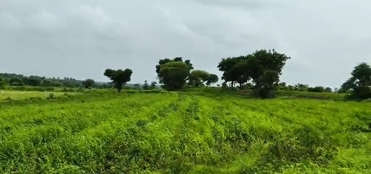 Venkatraopeta, Ranga Reddy, Venkatraopeta, Telangana 509320, India