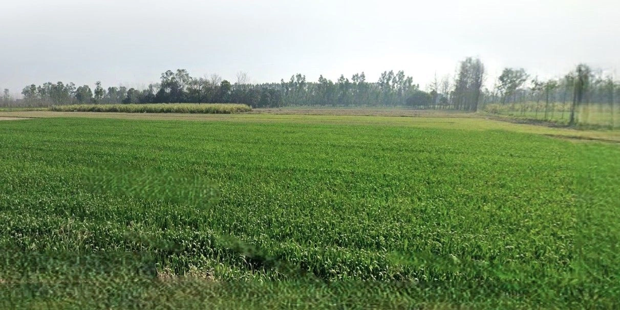 Thakurdwara, Uttar Pradesh 244601, India