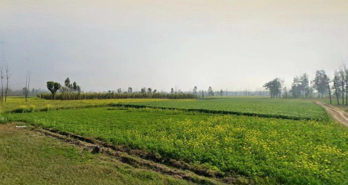 Suar, Uttar Pradesh 244924, India