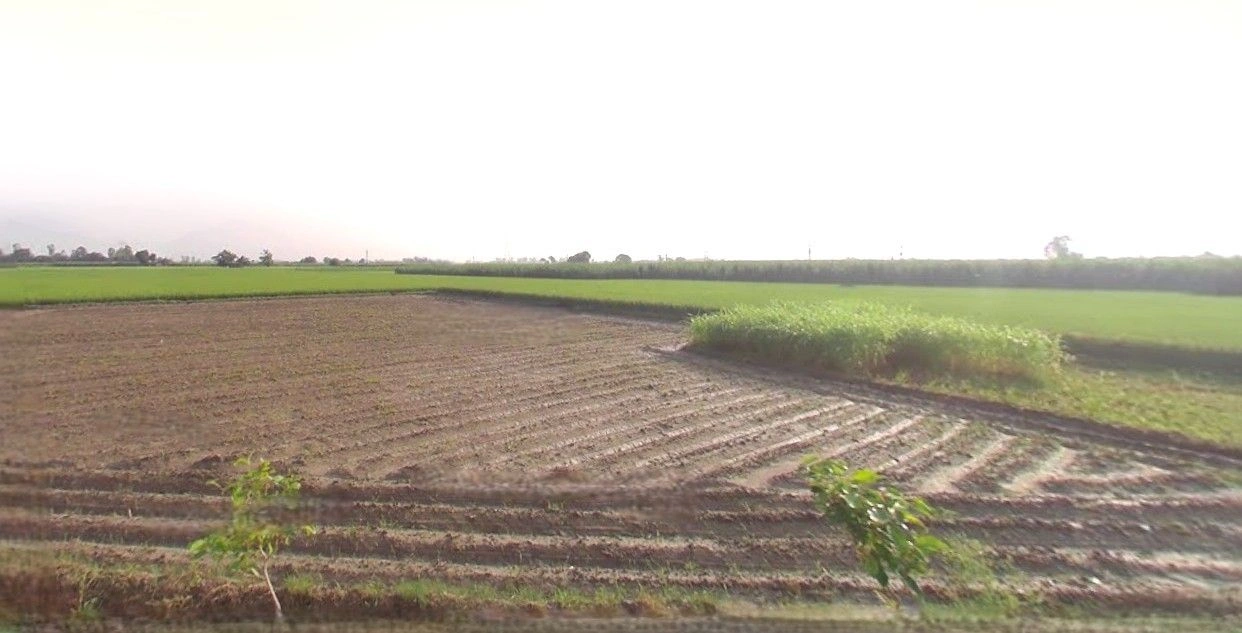 Hasanpur, Uttar Pradesh 244241, India