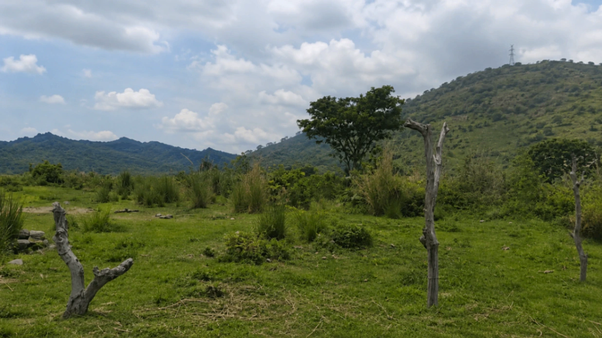 Rehna, Saharanpur, Uttar Pradesh, India