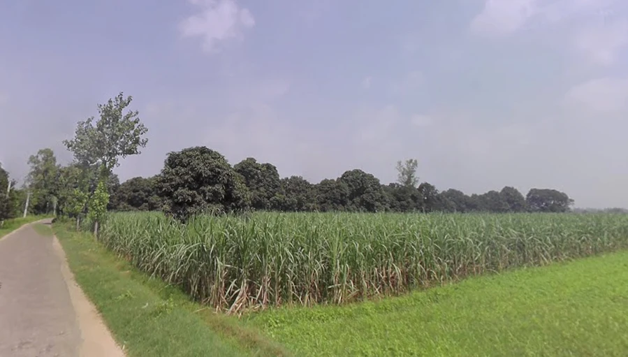 Behsuma, Uttar Pradesh 250401, India