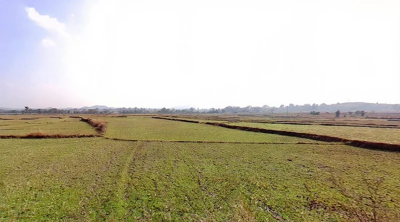 Dowaru, Jharkhand 835102, India preview 3