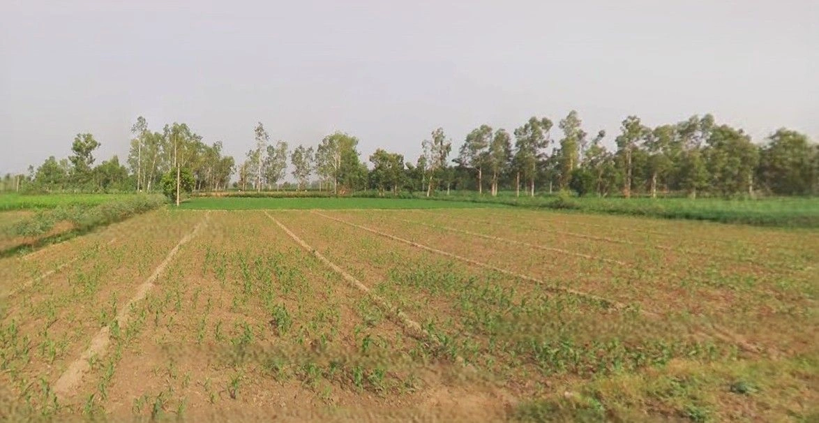 Lalganj, Uttar Pradesh 231211, India