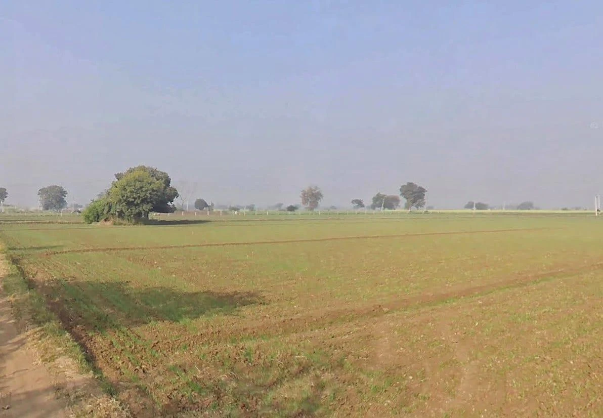 7RF7+339, Deloonda, Rajasthan 323021, India