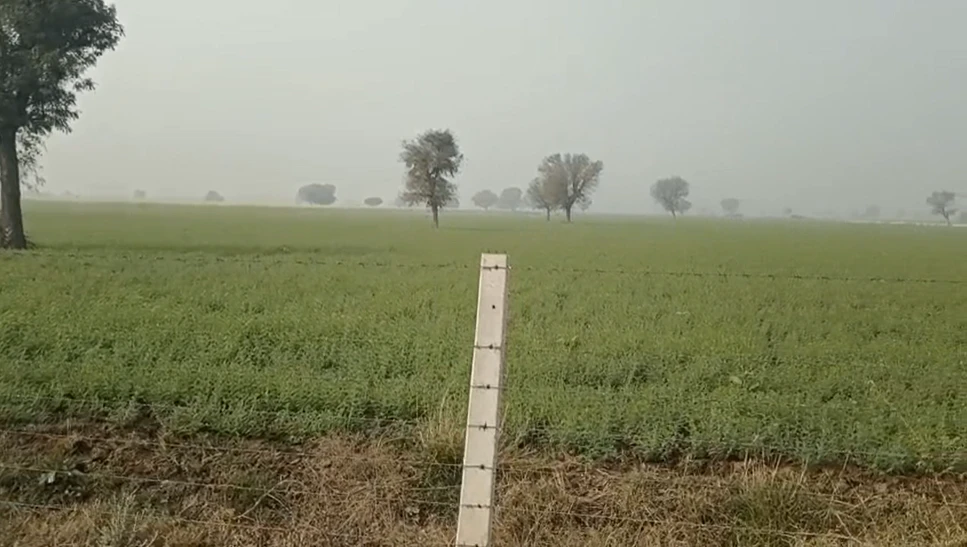 HGP7+93 Chauru, Rajasthan, India