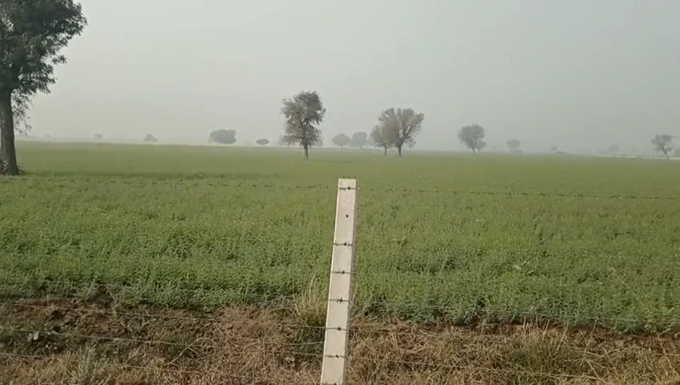 HGP7+93 Chauru, Rajasthan, India