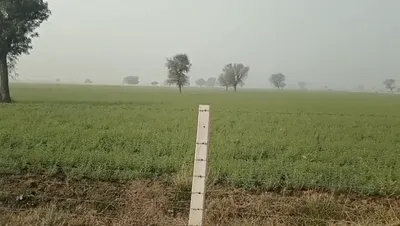 HGP7+93 Chauru, Rajasthan, India preview 2