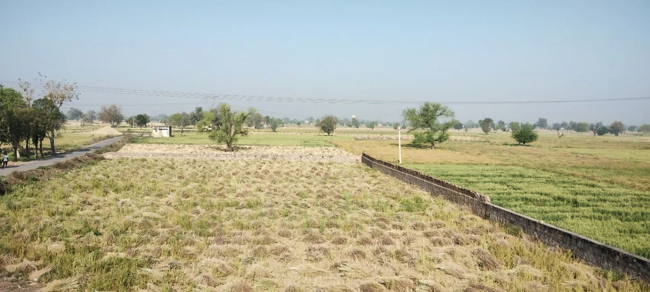 Deenar, Rajasthan 301021, India preview 3