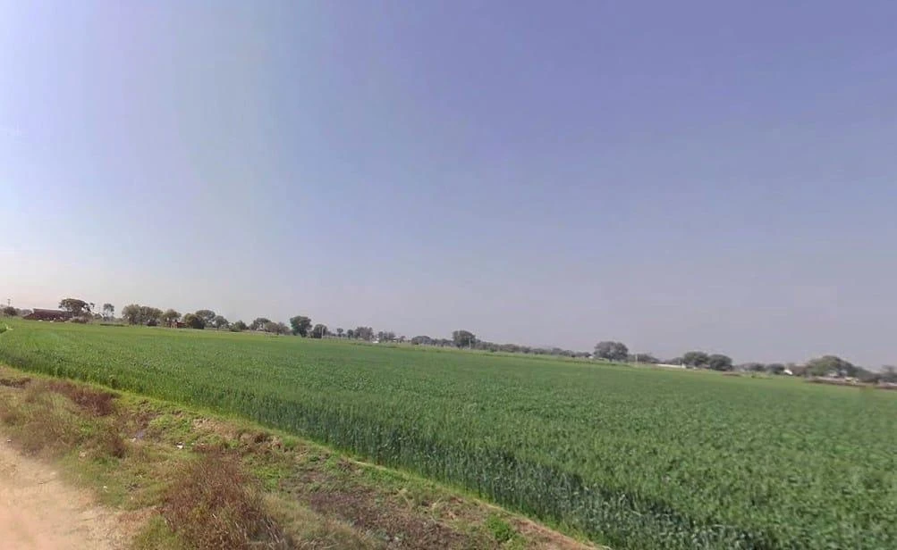 Chidwai, Rajasthan 301026, India