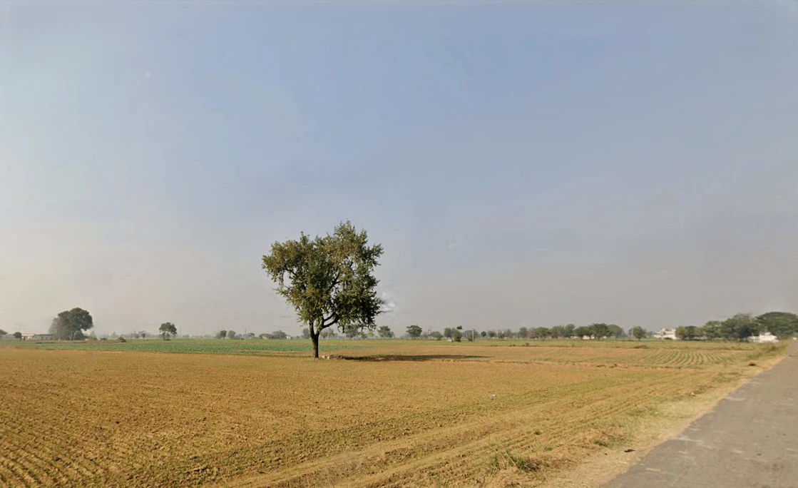 Baluda, Sohna, Haryana 122103, India