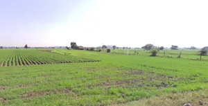 Kotra, Madhya Pradesh, India preview 2