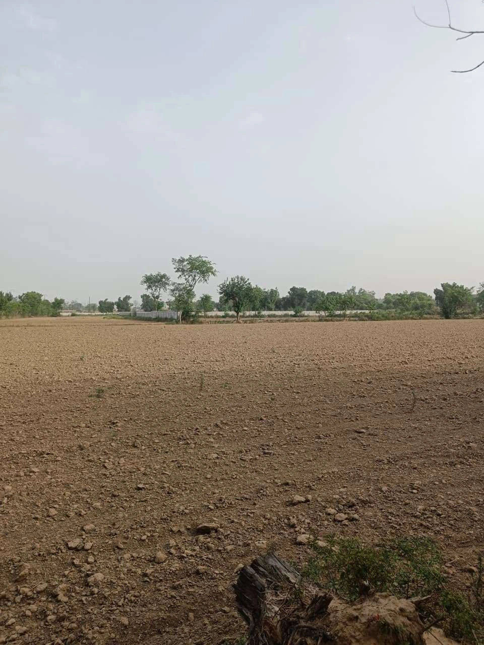 Ajhai Kalan, Uttar Pradesh 281406, India preview 2