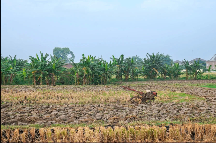 Madhyamgram, Kolkata, West Bengal, India