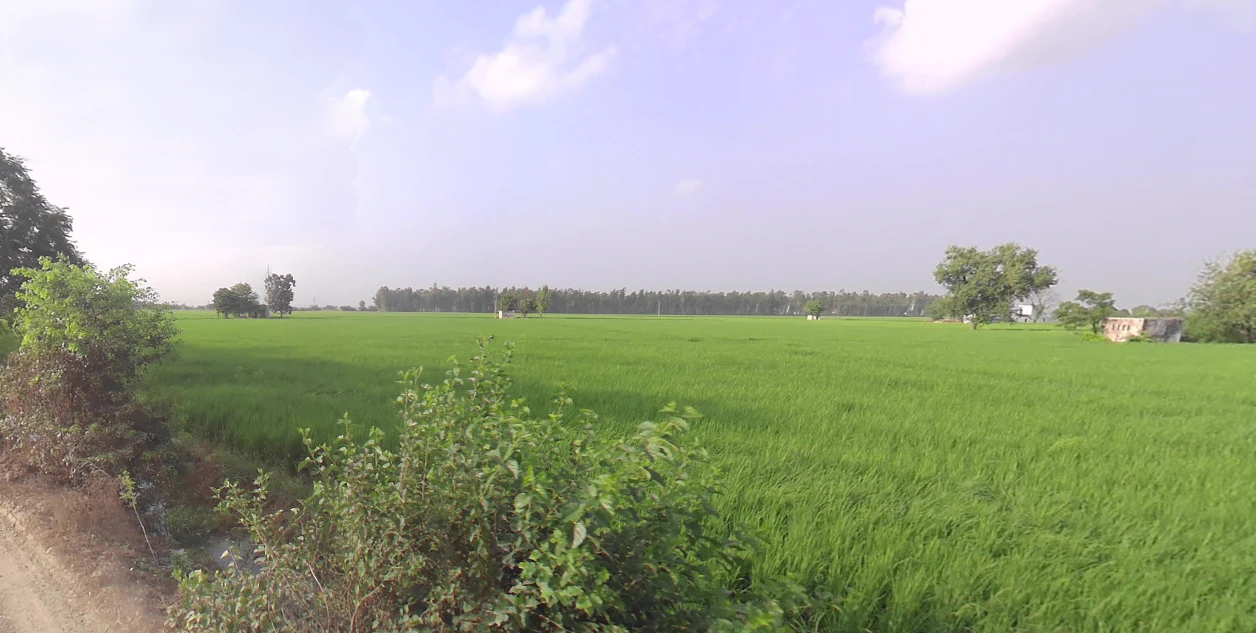 Rajpur, Uttar Pradesh 245207, India