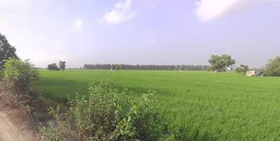 Rajpur, Uttar Pradesh 245207, India preview 2
