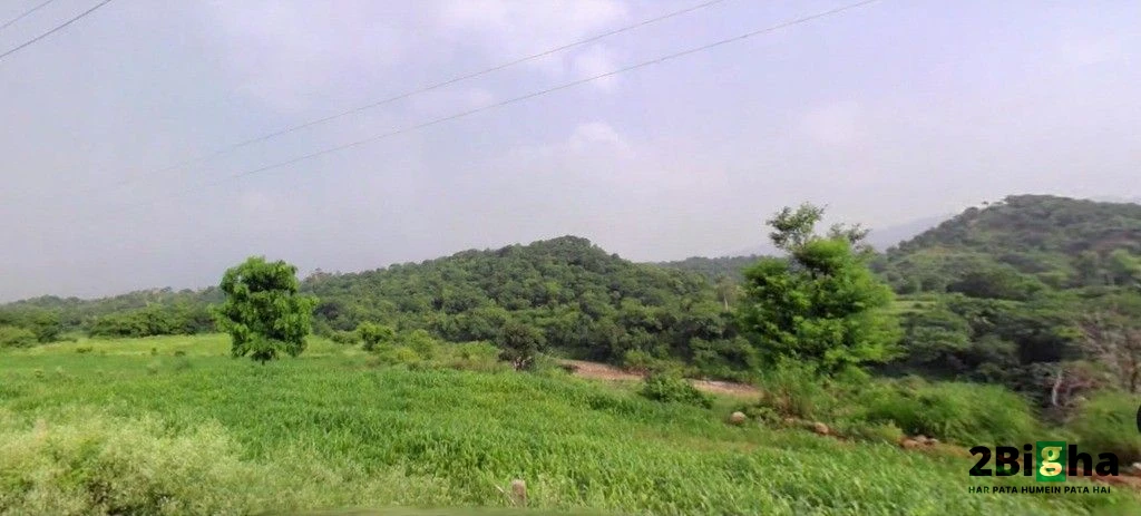 Morni, Haryana 134205, India