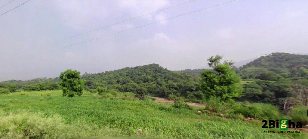 Morni, Haryana 134205, India
