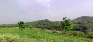 Morni, Haryana 134205, India preview 3