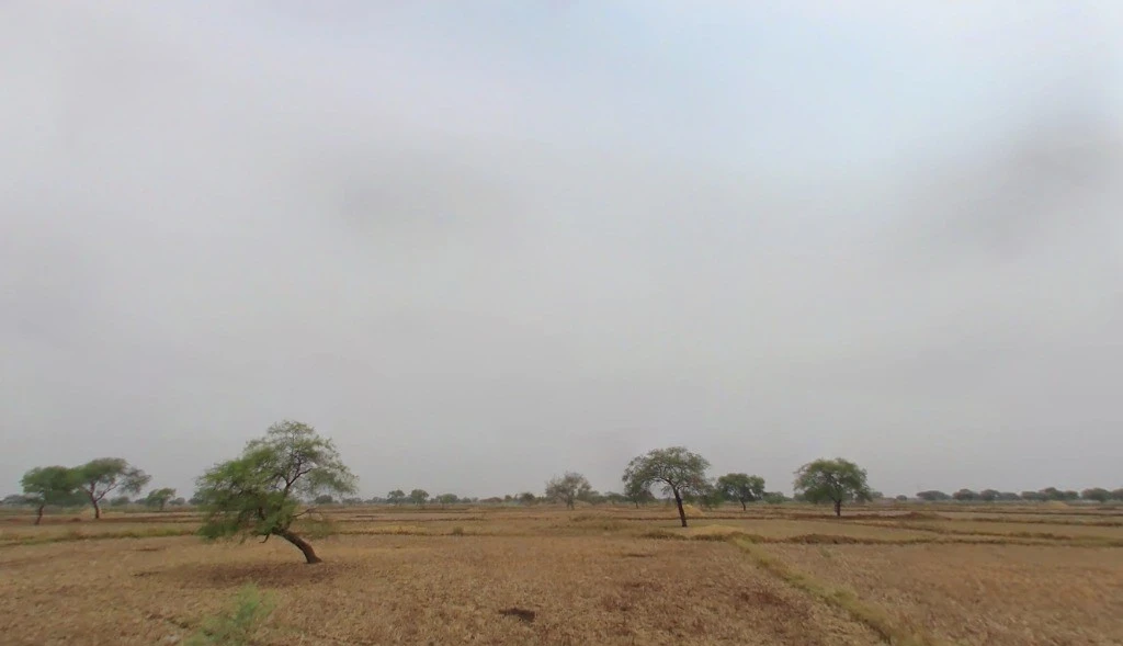 Ghanaghat, Chhattisgarh 495115, India
