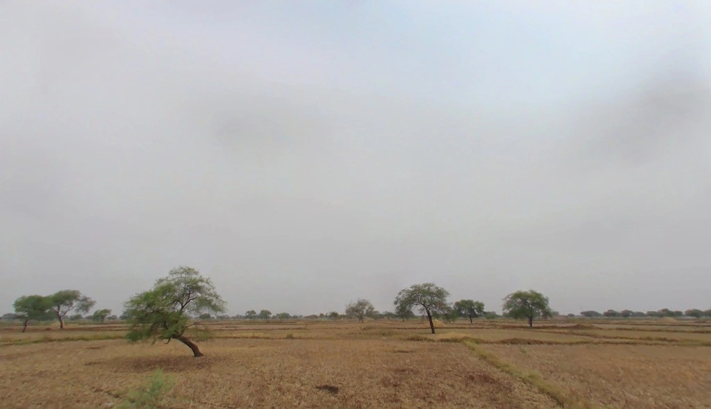 Ghanaghat, Chhattisgarh 495115, India