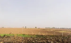 Haileymandi, Haryana 122504, India preview 3