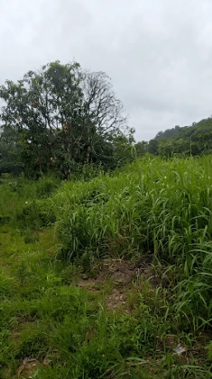 P5J2+W38, Palghar, Malwada, Maharashtra 421303, India