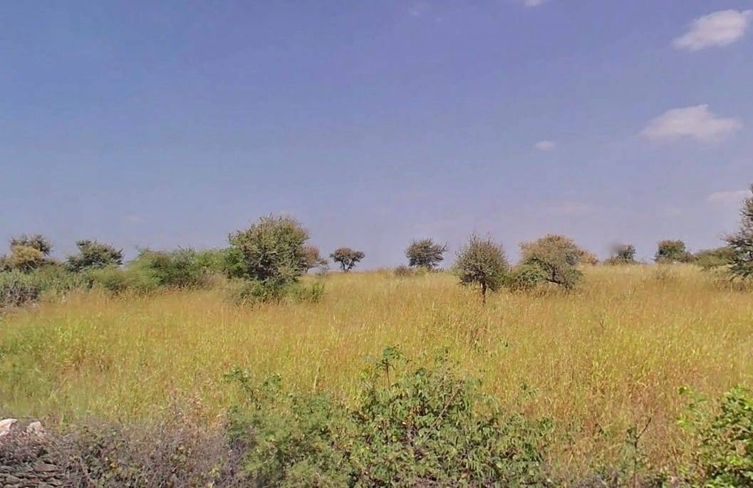 RM6F+PX Shivsingh Ka Gurha, Rajasthan, India