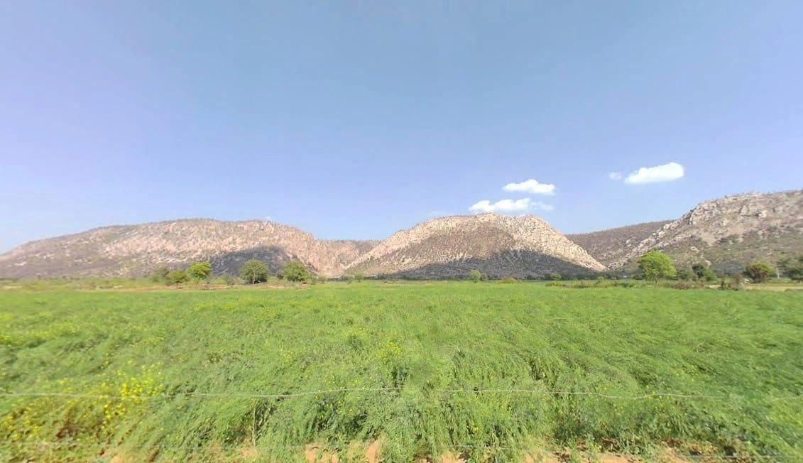 Dhahlavas, Rajasthan 301001, India