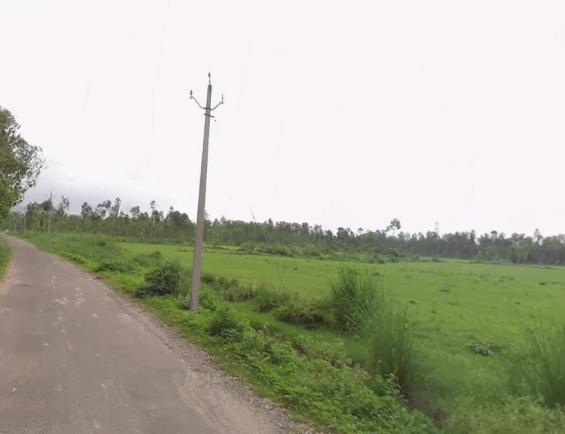 Badshahibagh, Uttar Pradesh 247122, India
