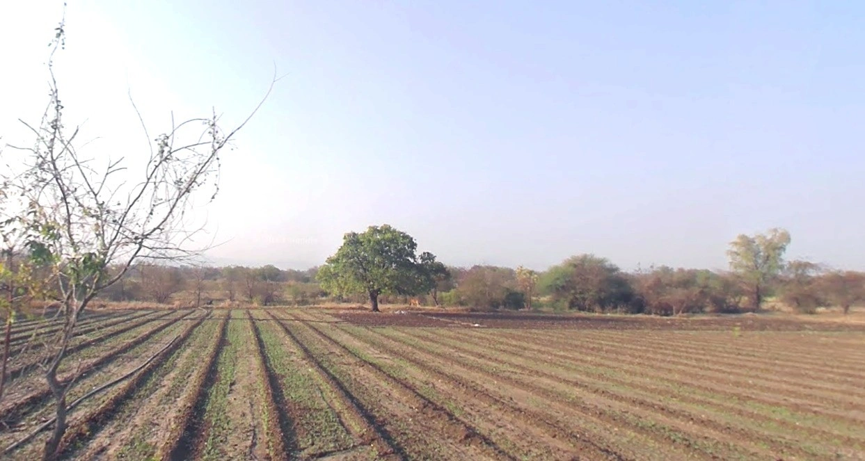 Mithivavdi, Gujarat 384220, India