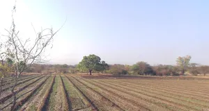 Mithivavdi, Gujarat 384220, India preview 2