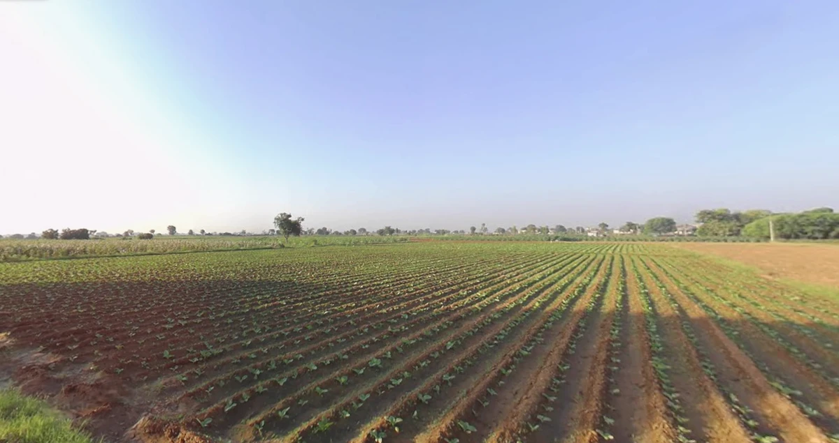 Piparala, Gujarat 364150, India